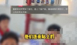 中单小学爆料事件视频最新,真相揭露，家长学生热议